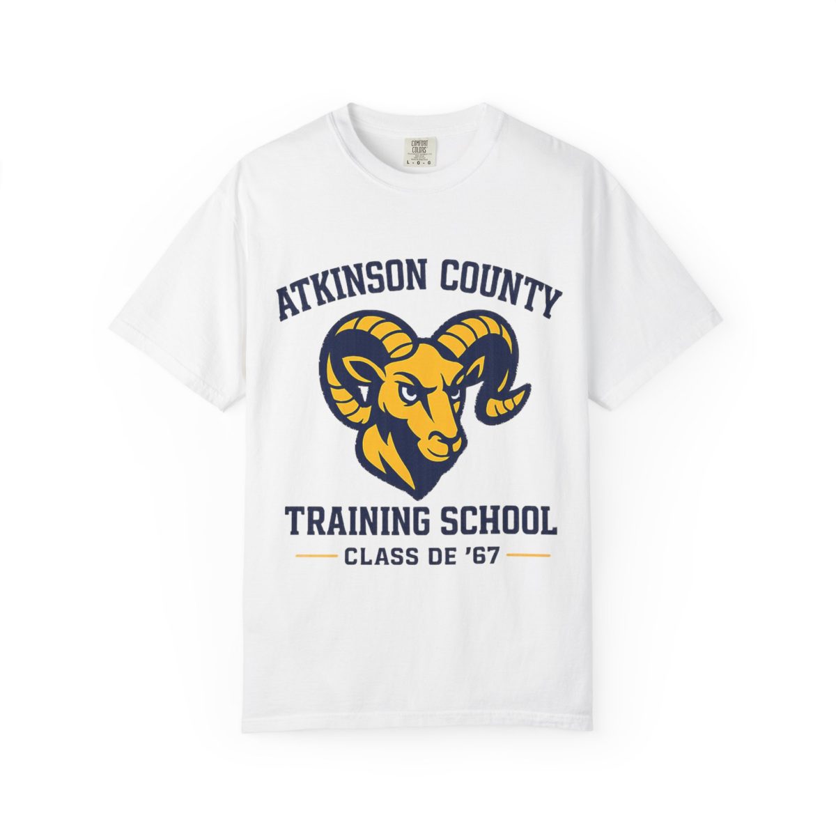 Atkinson County Training School Class of '67 Tee