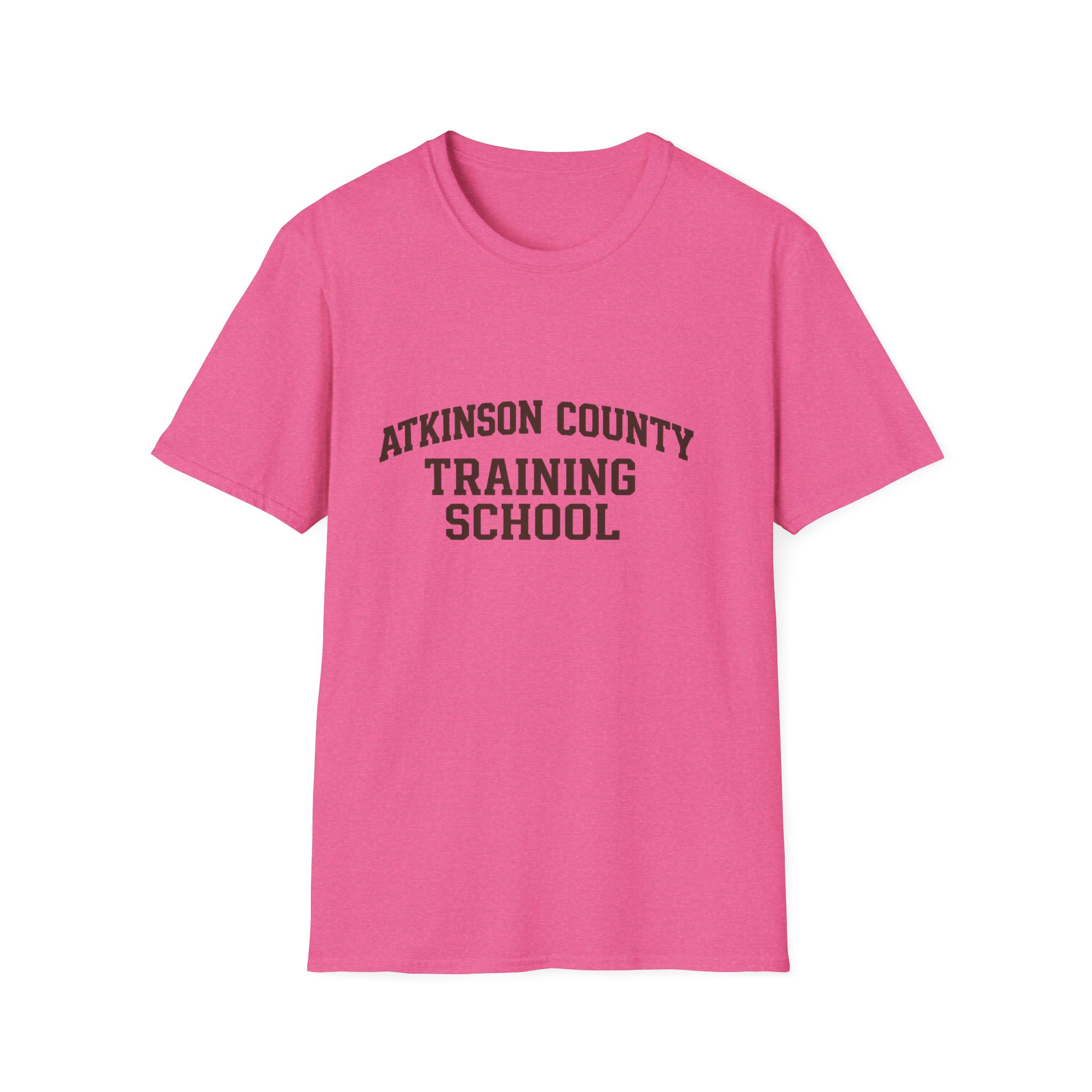 Atkinson County Training School T-Shirt — Vintage School Logo Tee - Image 6