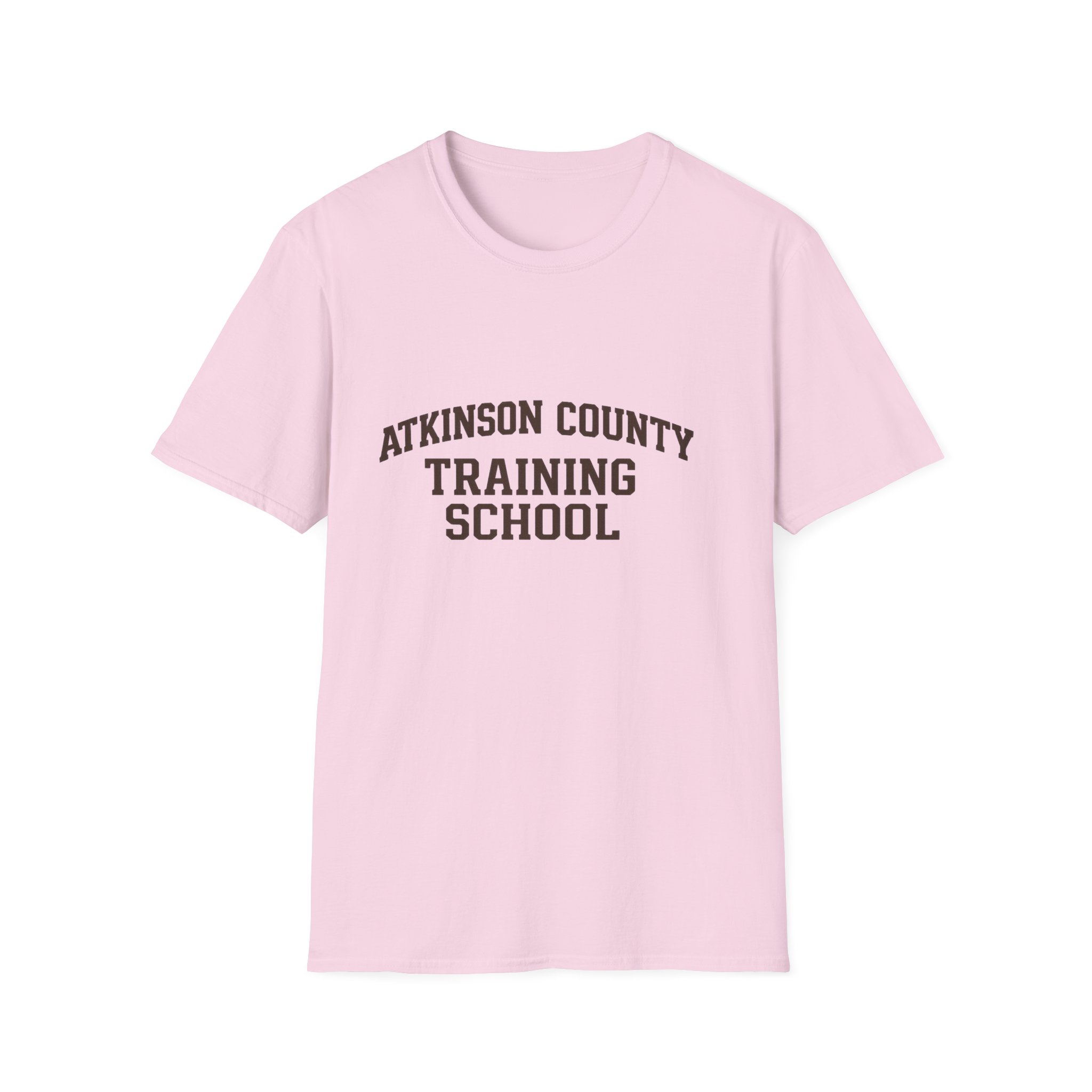 Atkinson County Training School T-Shirt — Vintage School Logo Tee - Image 5
