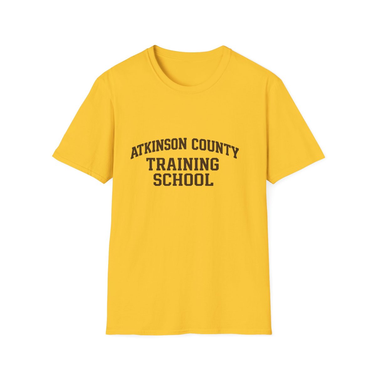 Atkinson County Training School T-Shirt — Vintage School Logo Tee
