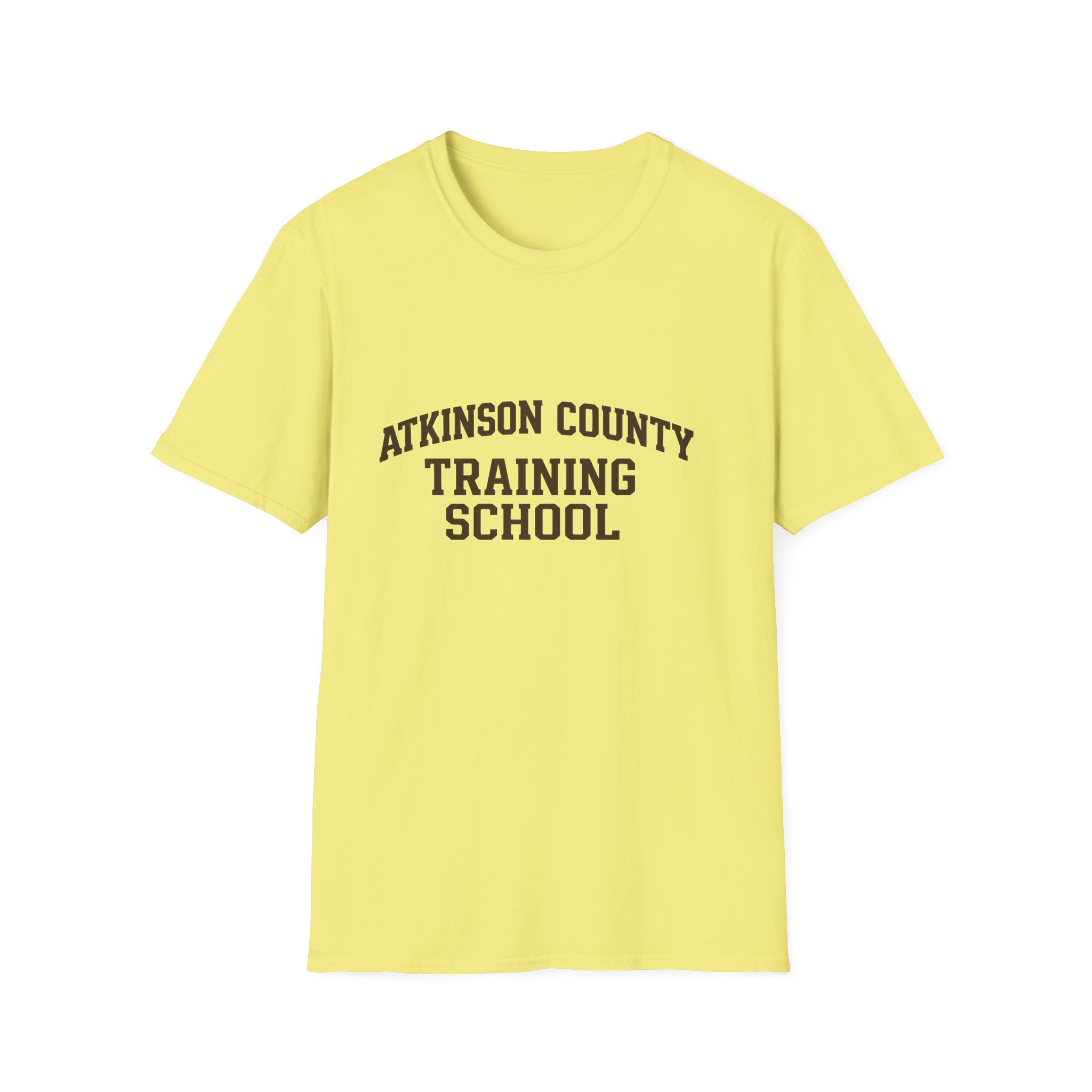 Atkinson County Training School T-Shirt — Vintage School Logo Tee - Image 4